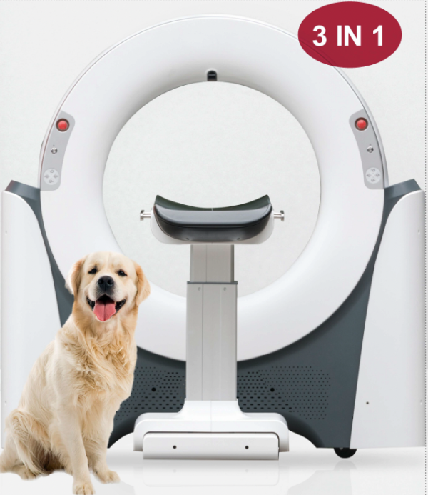 Pet CT