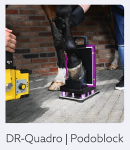 DR-Quadro-Padoblock