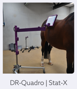 DR-Quadro-Bucky Lite