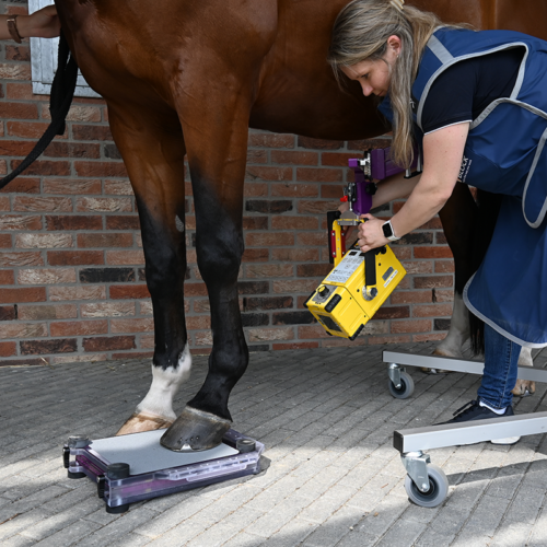 DR-Quadro