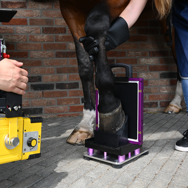 DR-Quadro