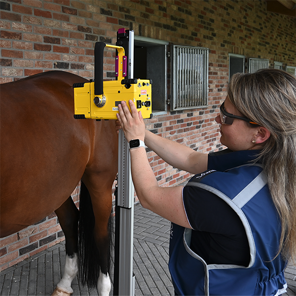 JiXtr PORTALBE X-RAY STAND