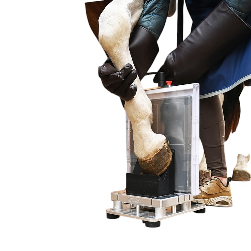 Padoblock_18 Padlock Equine X-Ray positioners
