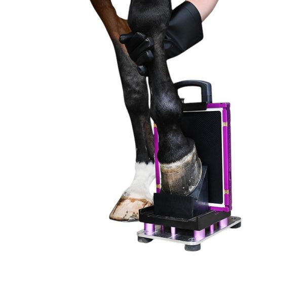 Padlock Equine X-Ray positioners