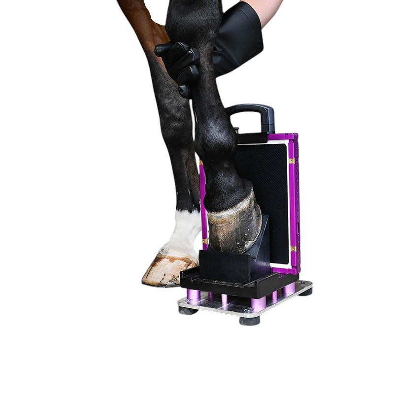 Padoblock_19 Padlock Equine X-Ray positioners