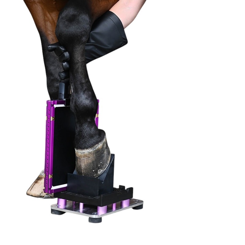 Padoblock_20 Padlock Equine X-Ray positioners